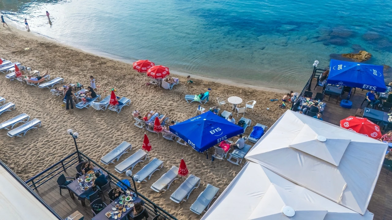 Kumsalda Özgür Bir Gün: Driftwood Deneyimi