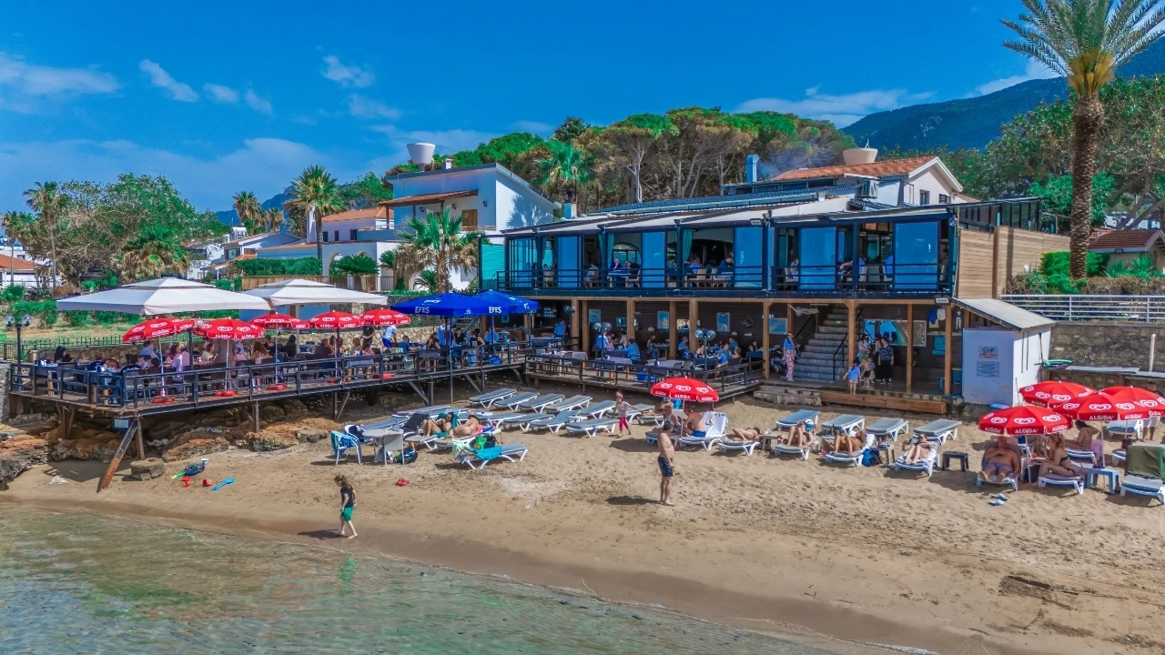 The Driftwood Sunset Experience