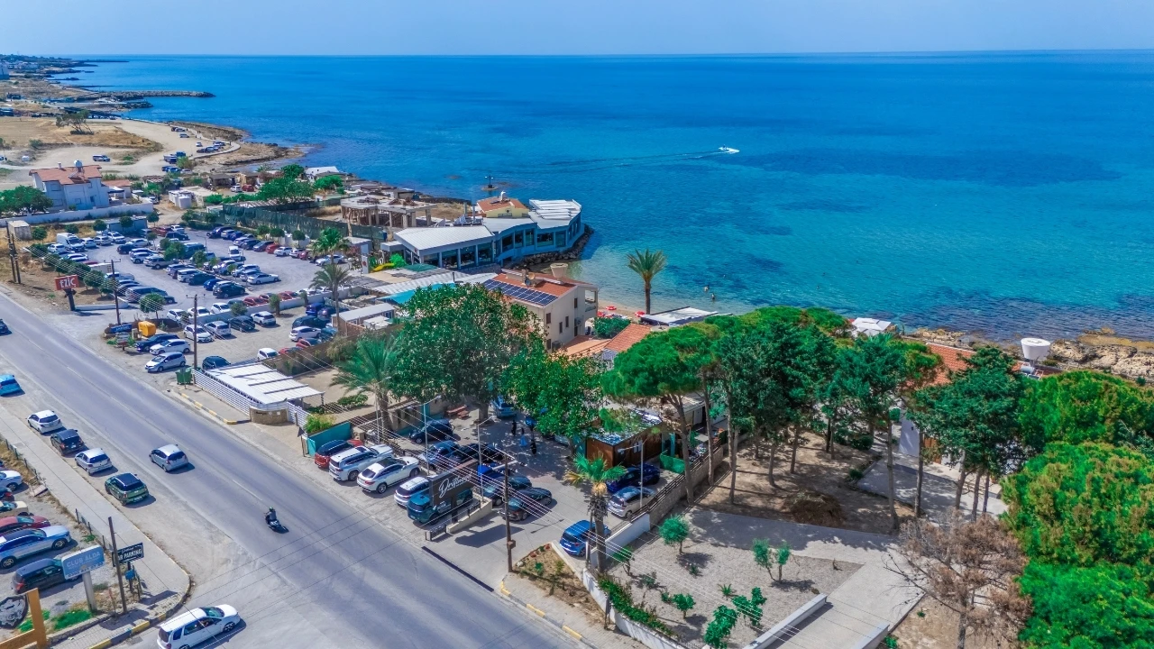 Freshness at the Heart of Driftwood Cuisine