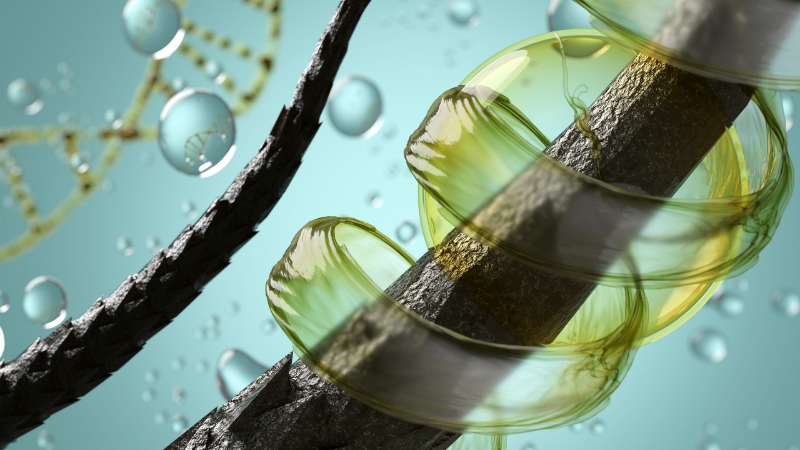 Keratin ve Protein Bakımları